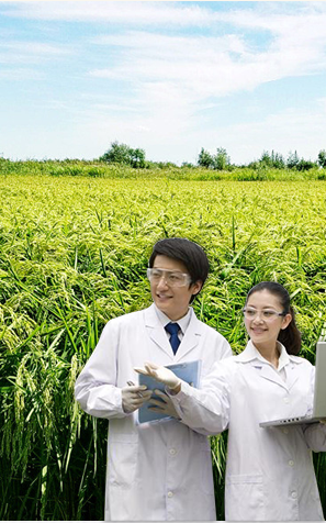 專業(yè)化團(tuán)隊